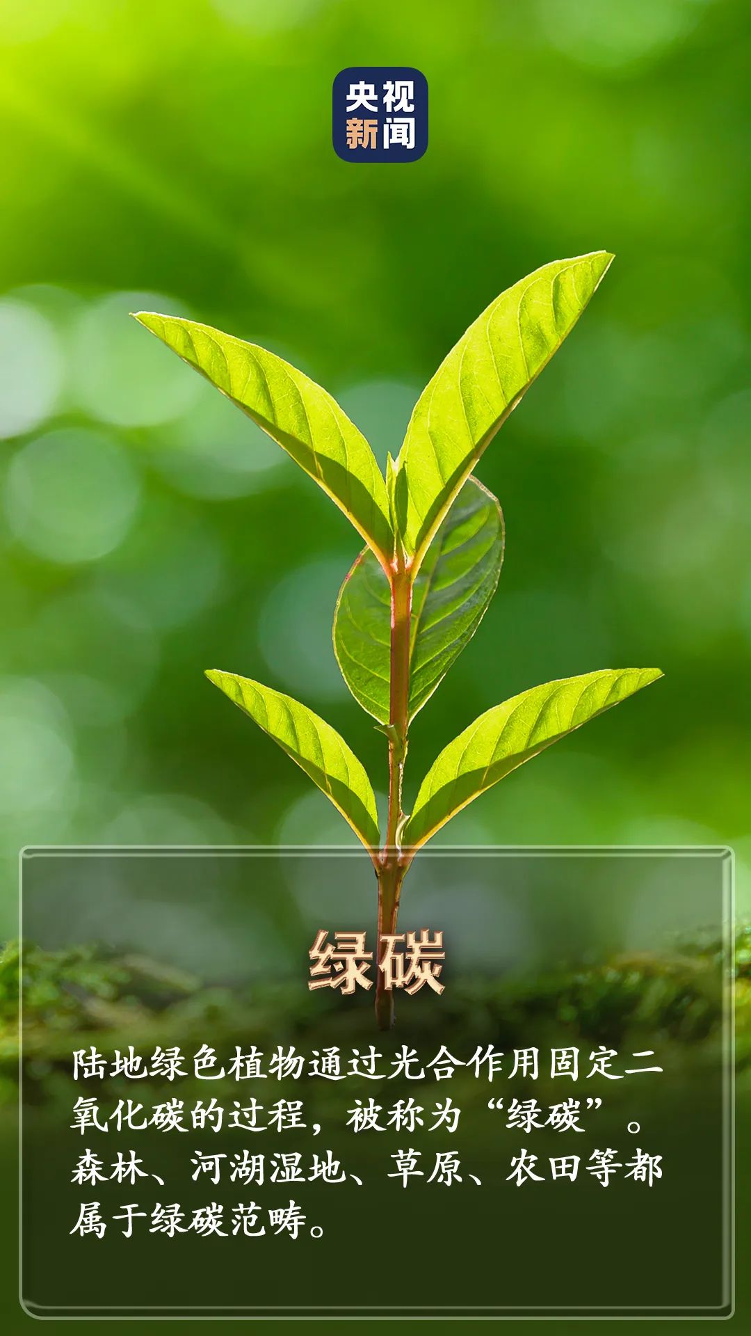 美丽云南微科普