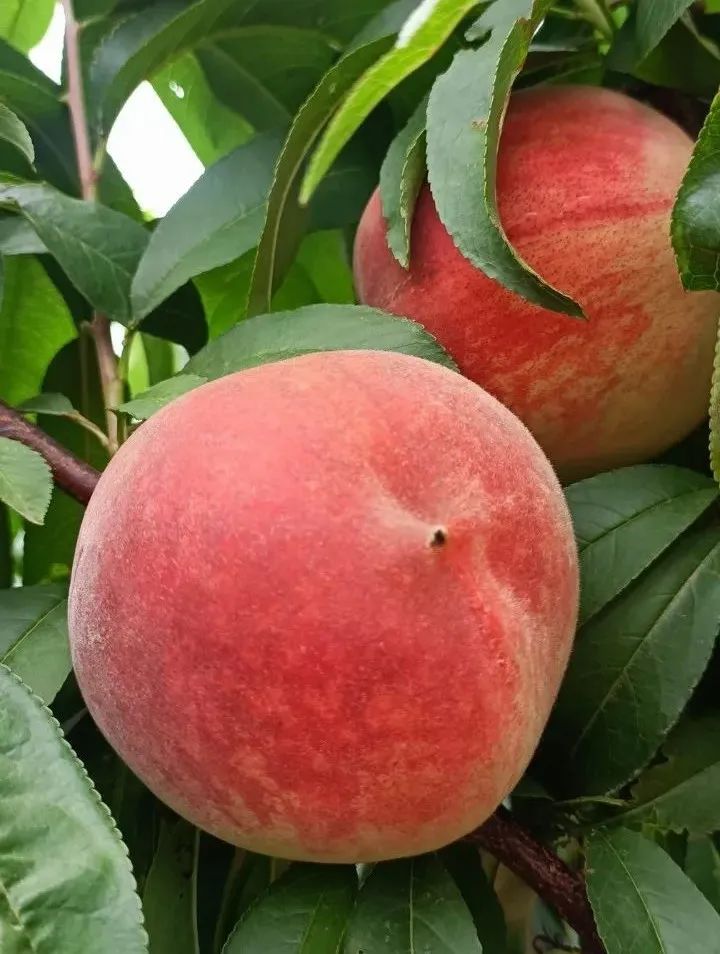 昆明阳宗海风景名胜区(微信)