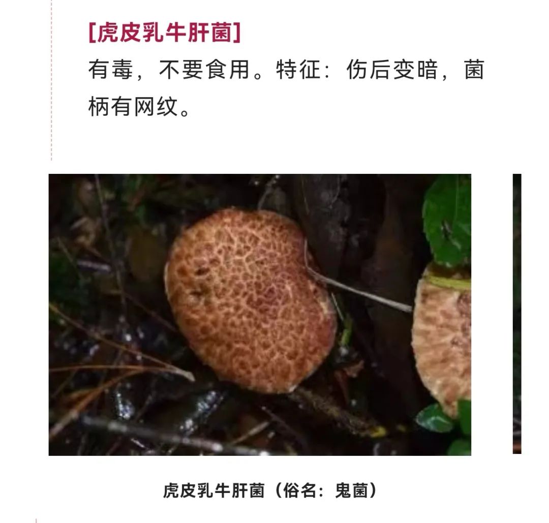 美丽云南微科普