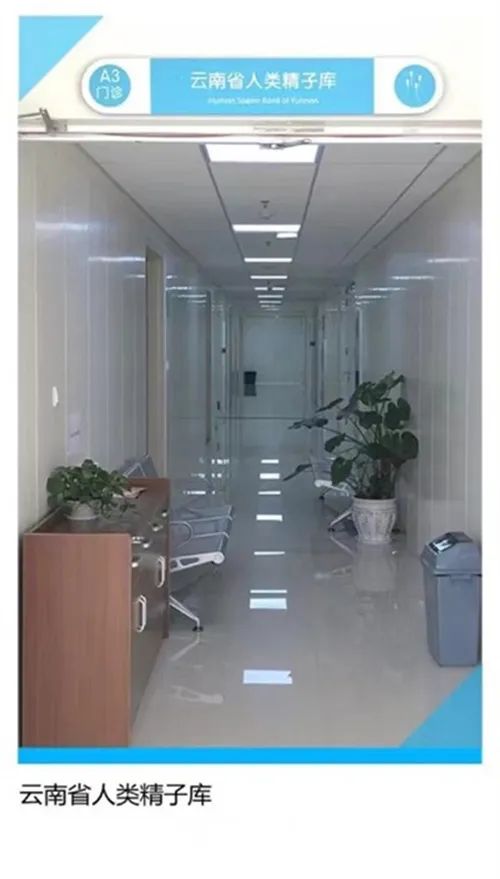 掌上春城