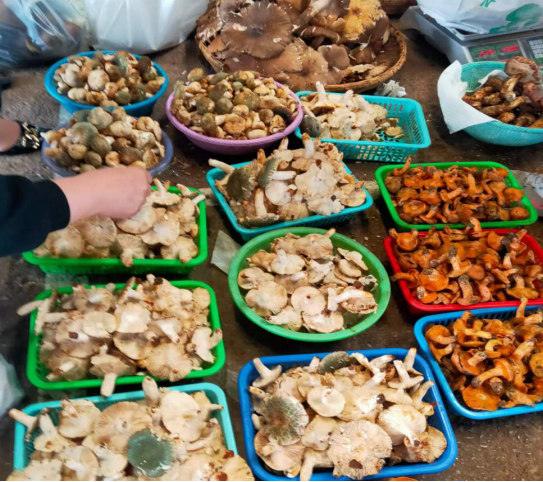 昆明五华发布