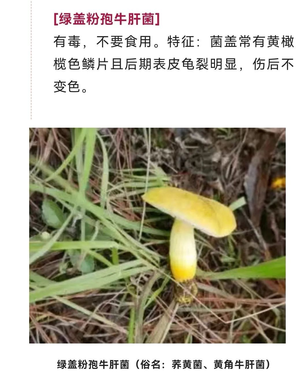 美丽云南微科普