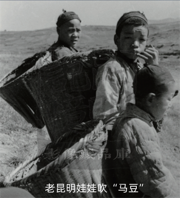 昆明市博物馆