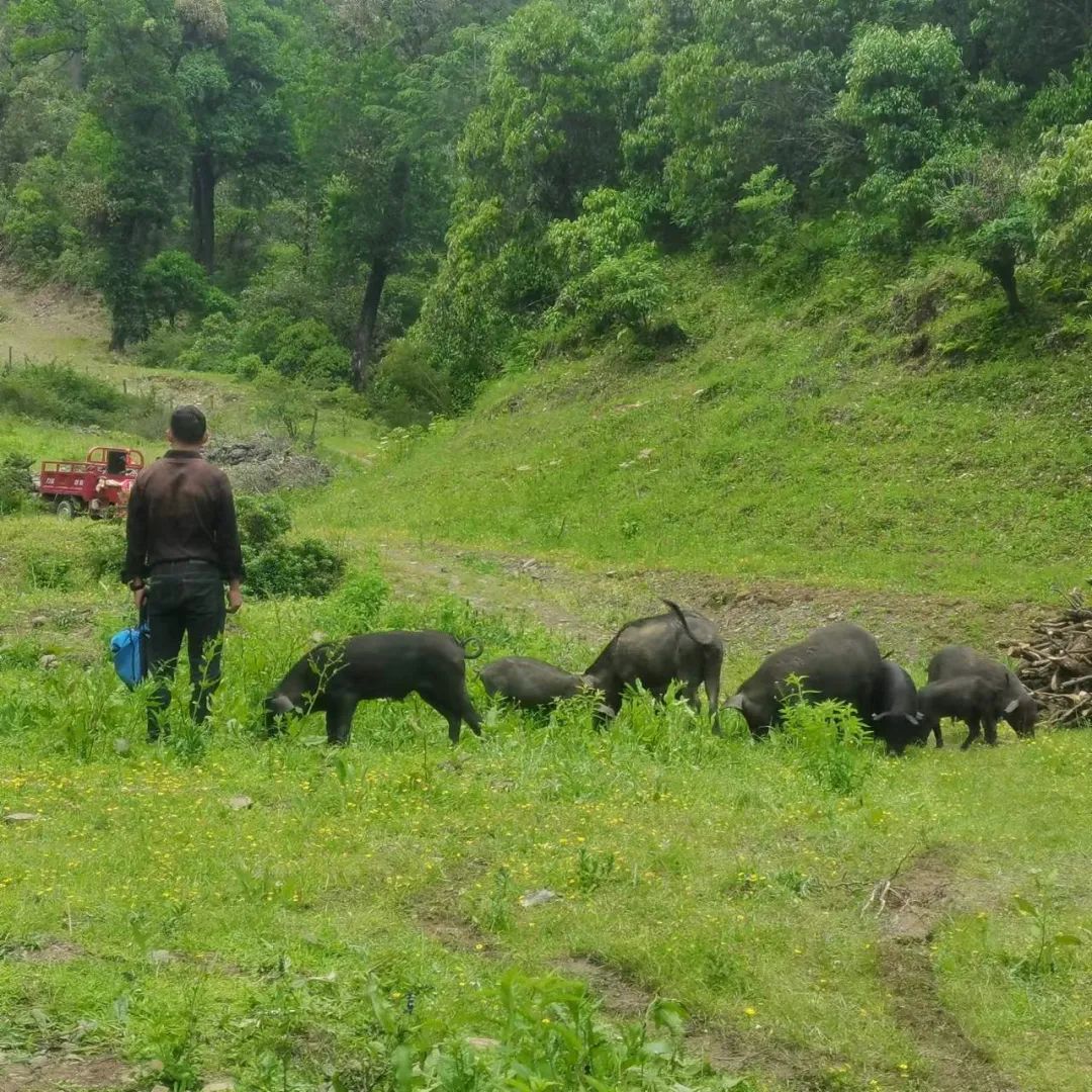 丽江日报