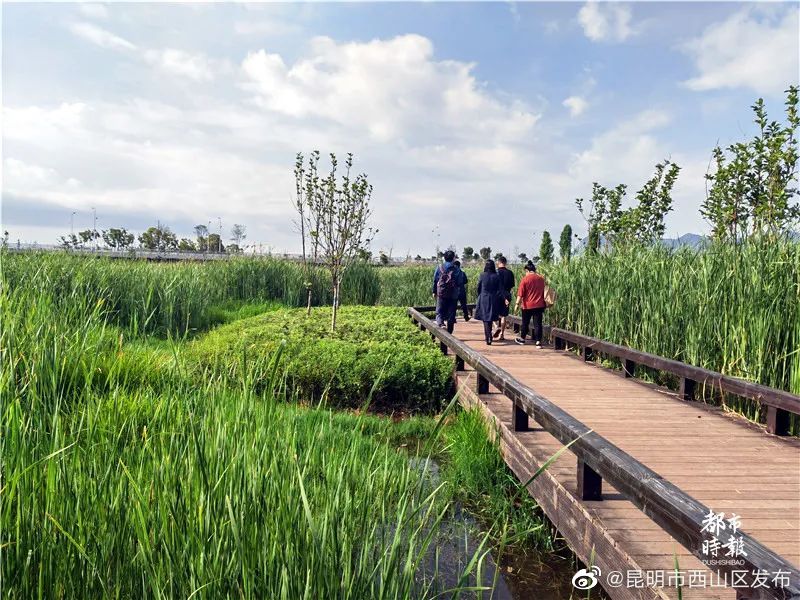 昆明市西山区发布