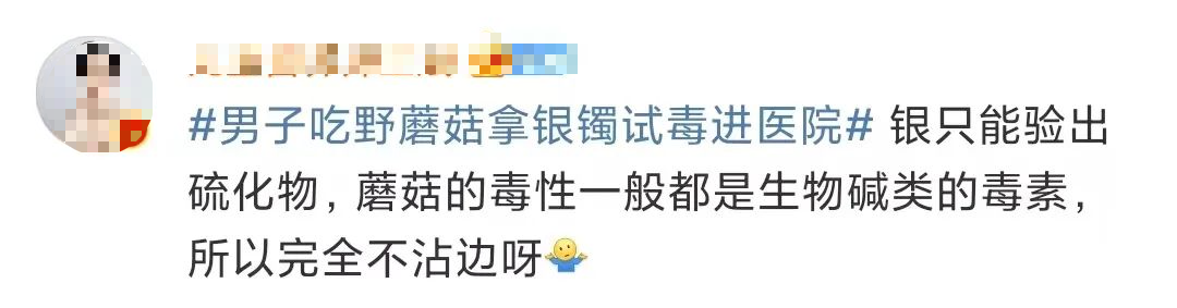 掌上春城