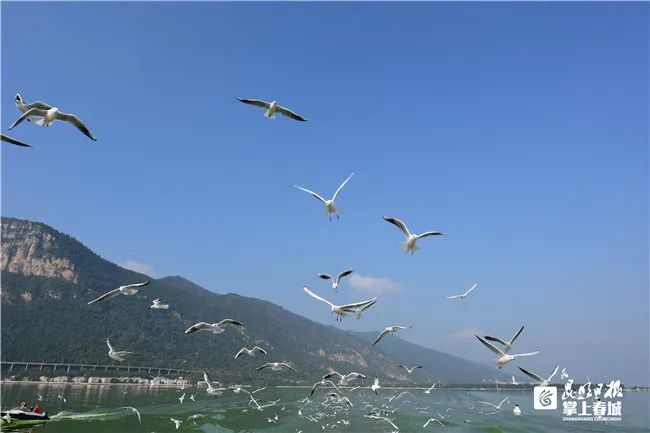 昆明滇池国家旅游度假区管理委员会(微信)