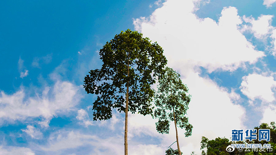 “云南发布”微博