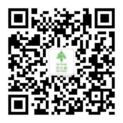 西双版纳望天树景区