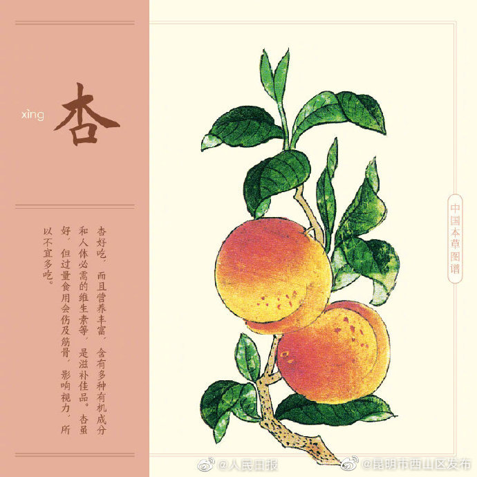 昆明市西山区发布