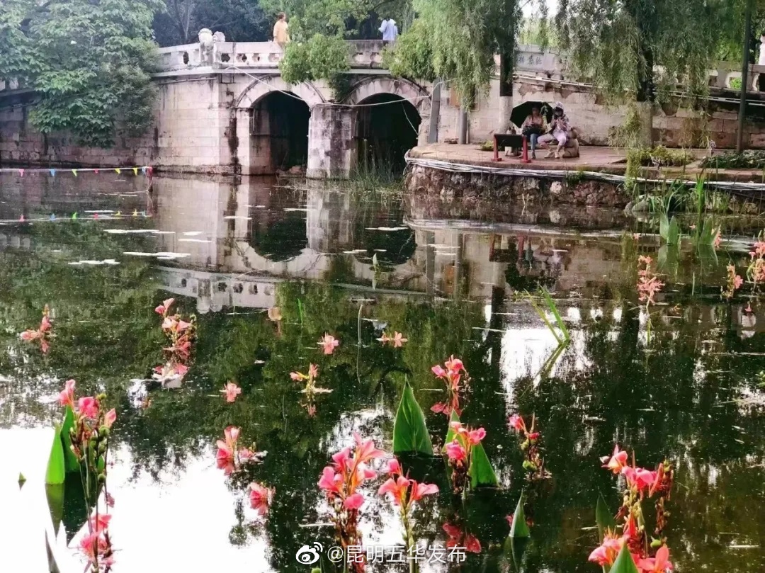 “昆明五华发布”微博