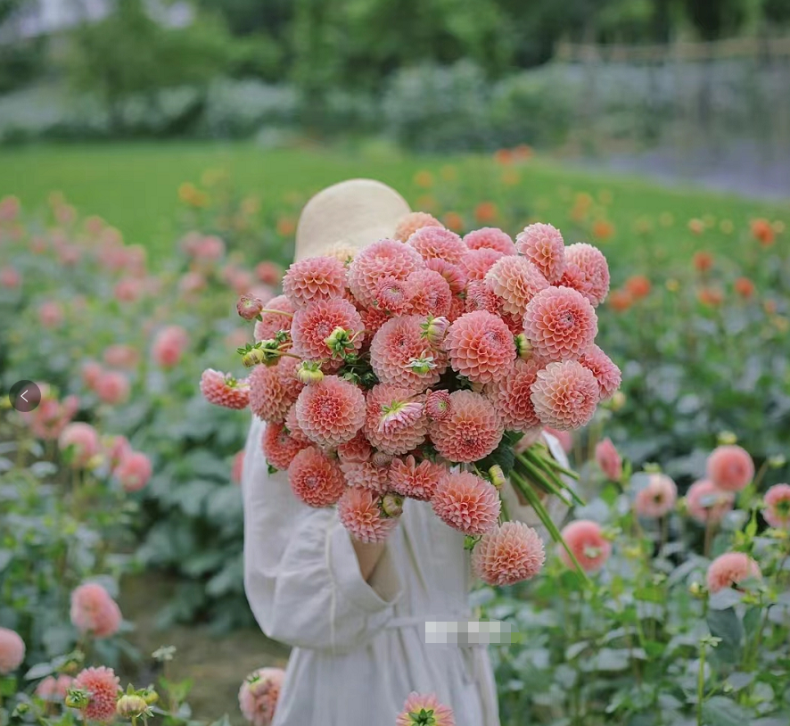 昆明滇池国家旅游度假区管理委员会(微信)