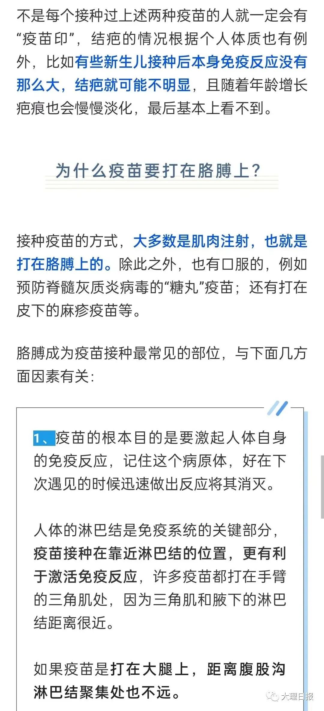 大理日报