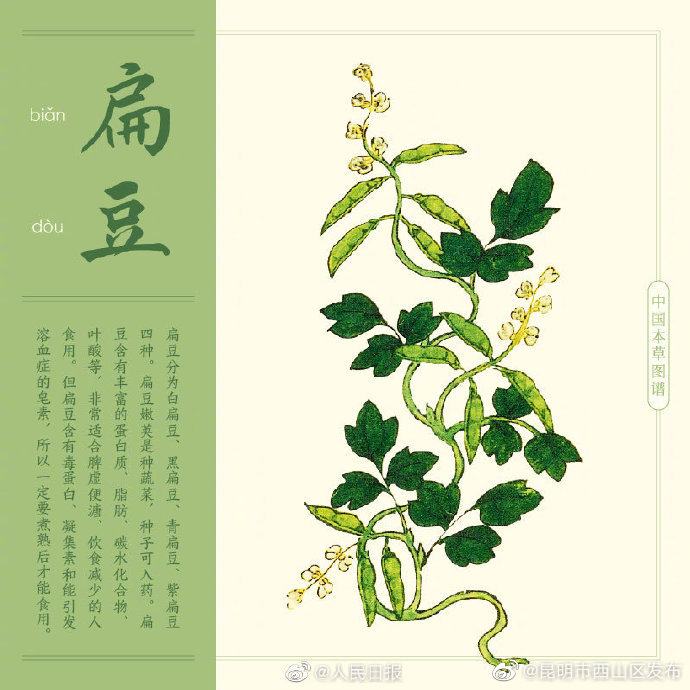 昆明市西山区发布