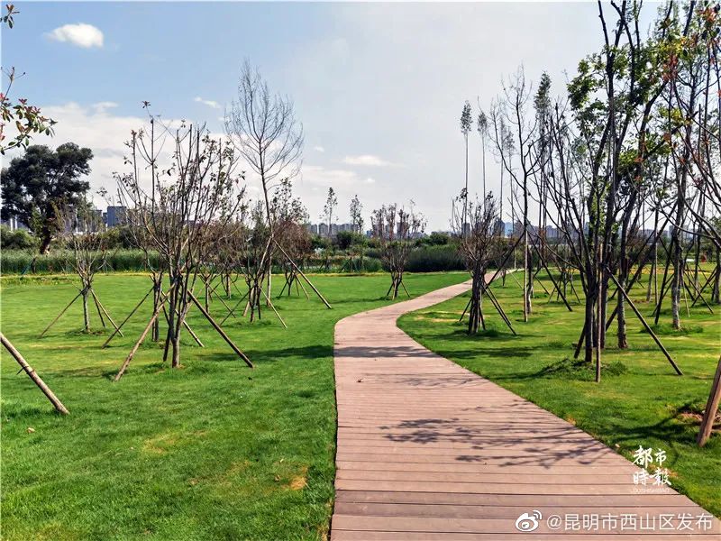 昆明市西山区发布