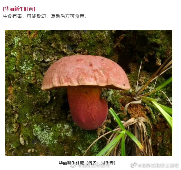 “昆明五华发布”微博