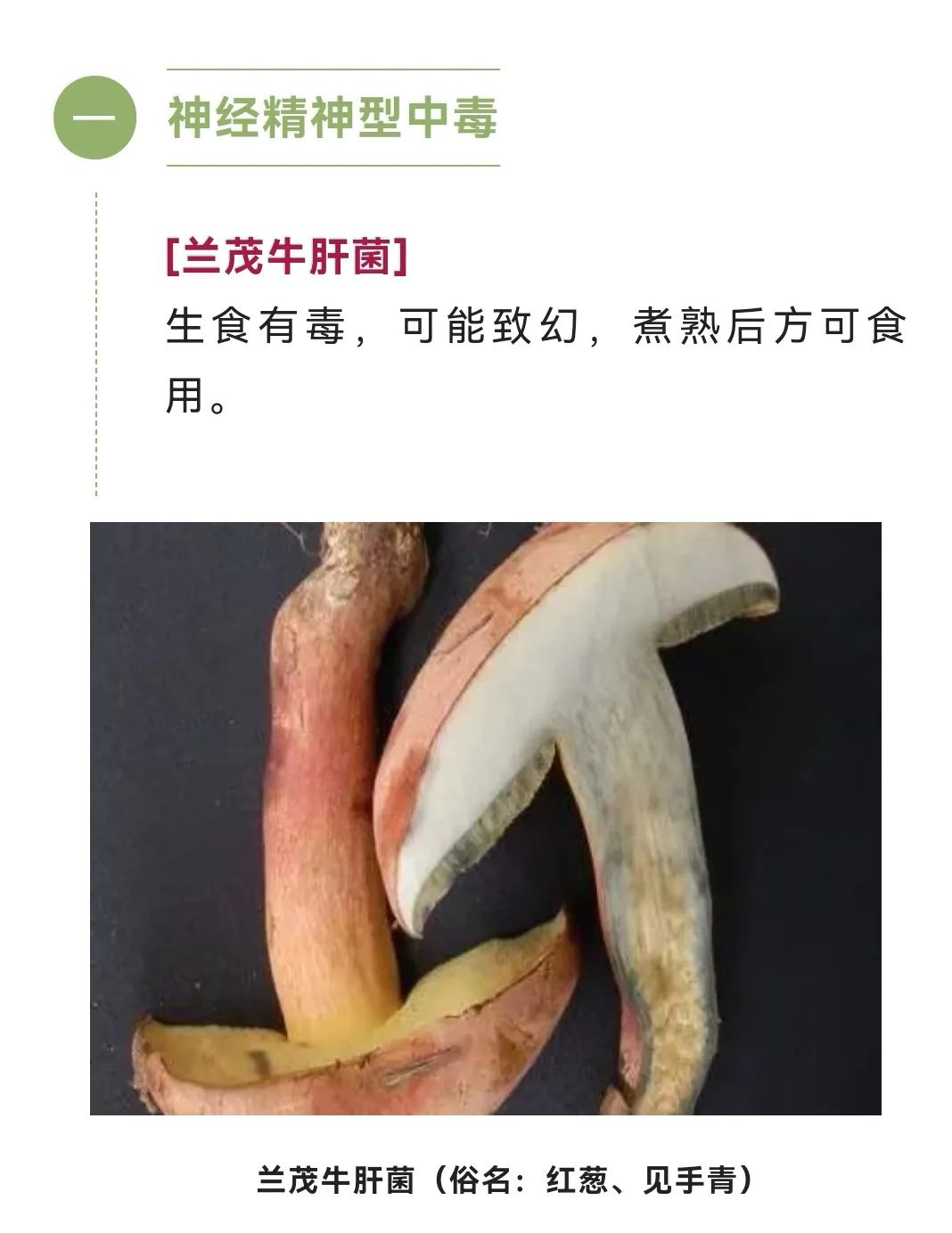美丽云南微科普