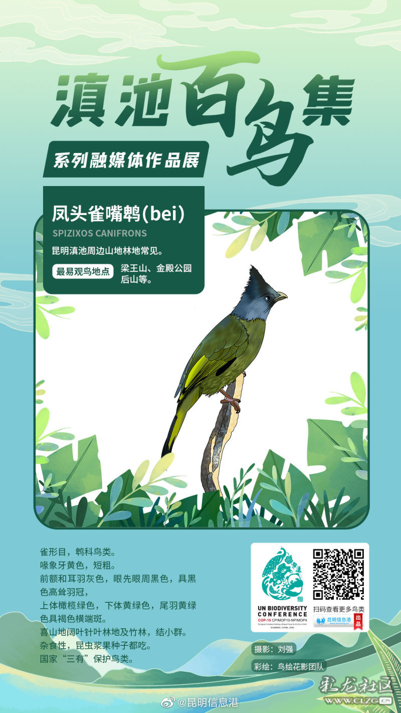 昆明信息港