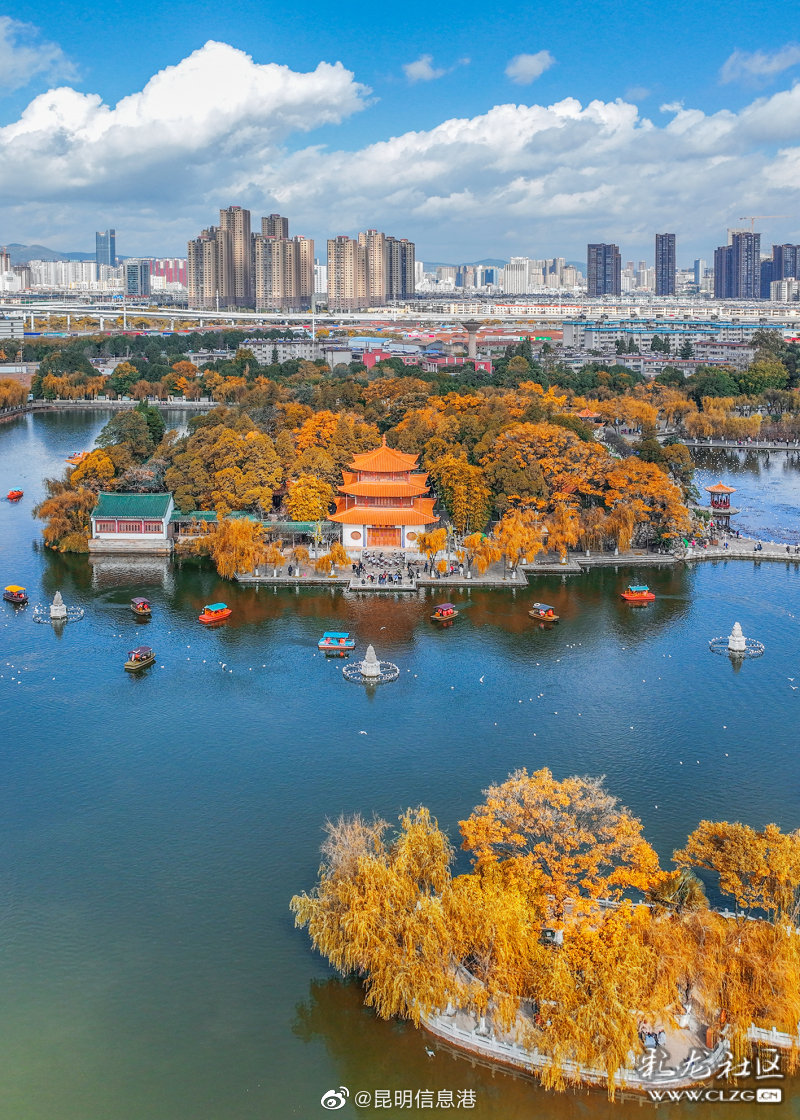 昆明信息港