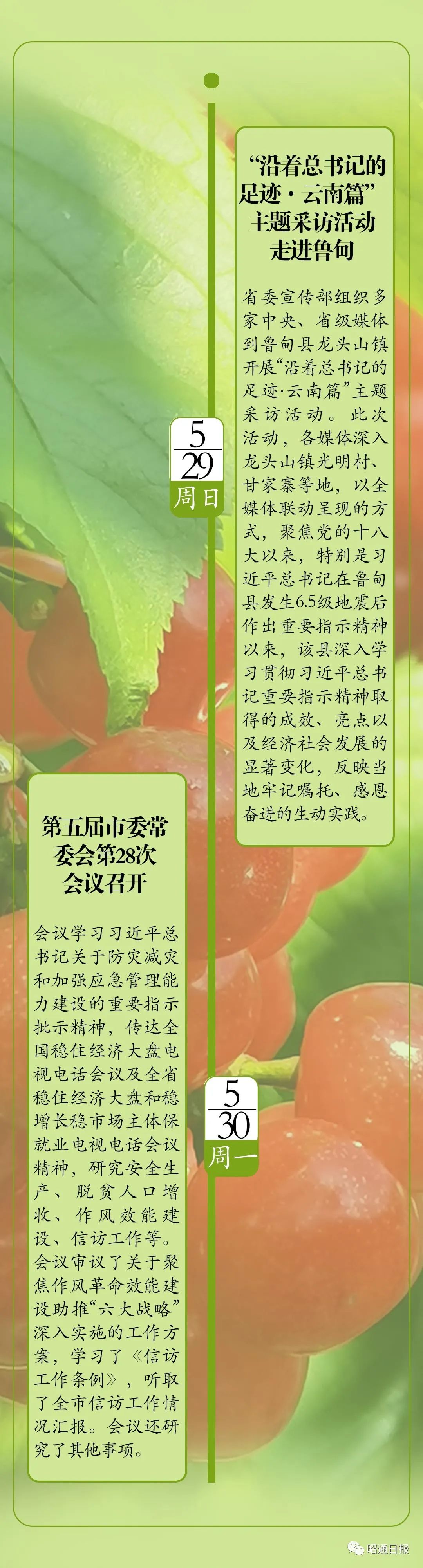 昭通日报