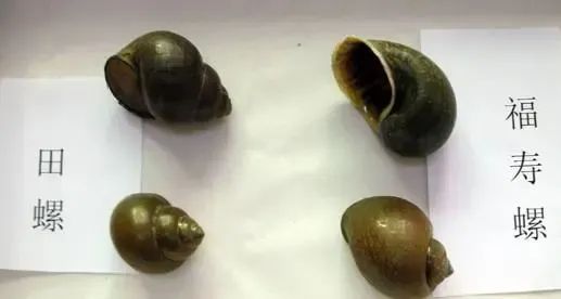 云南疾控
