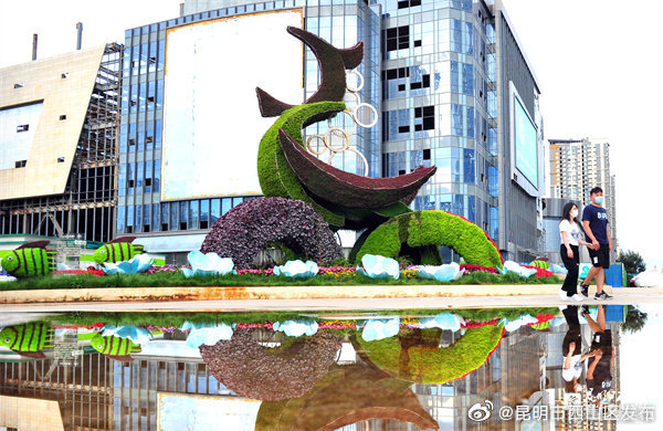 昆明市西山区发布