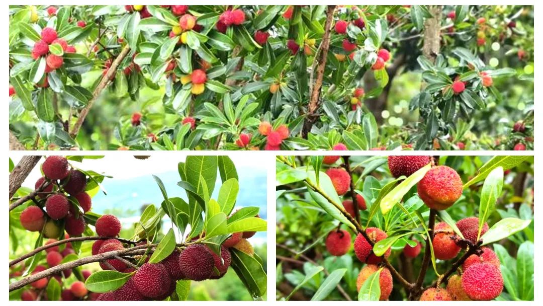 昆明阳宗海风景名胜区(微信)