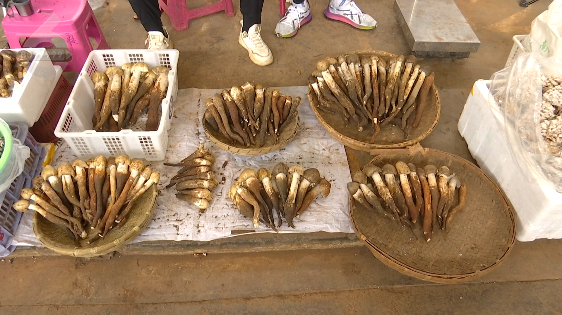 昆明信息港/cnkmxxg