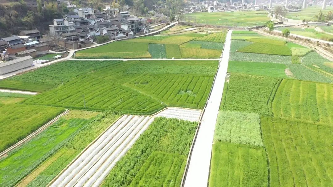 大理电视台