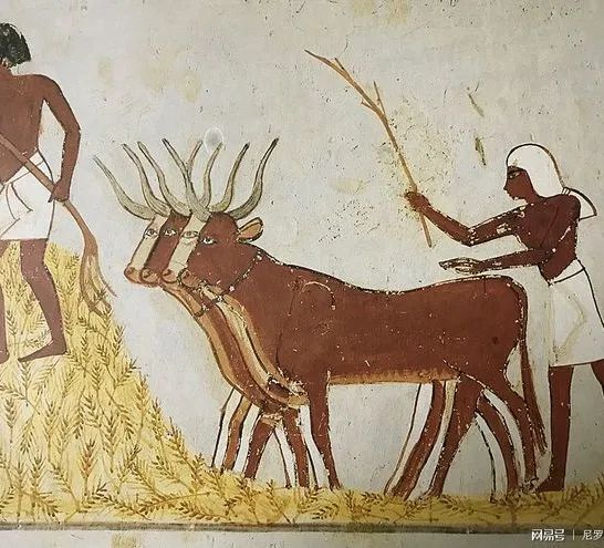 昆明动物园