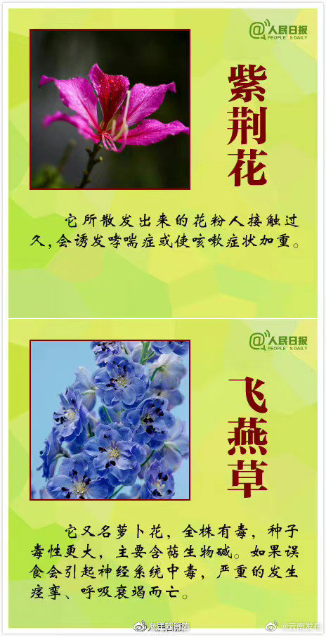 “云南发布”微博