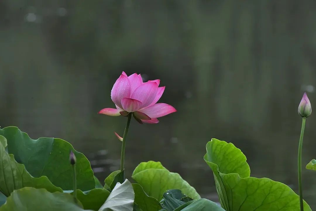 昆明国家高新区发布