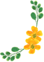 盘龙共青团