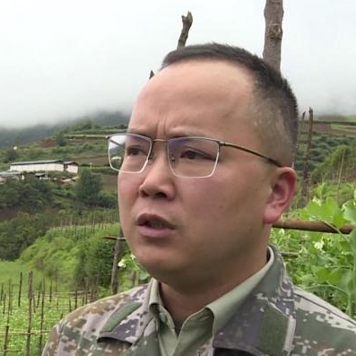 大理电视台