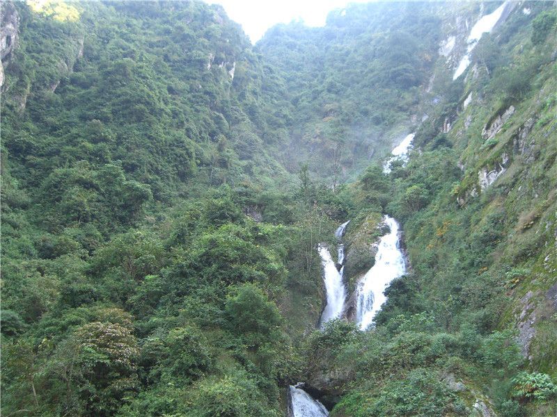 云南省文化和旅游厅