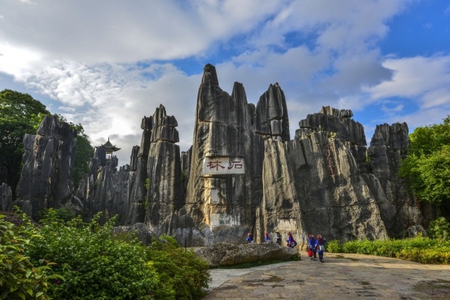 云南省文化和旅游厅