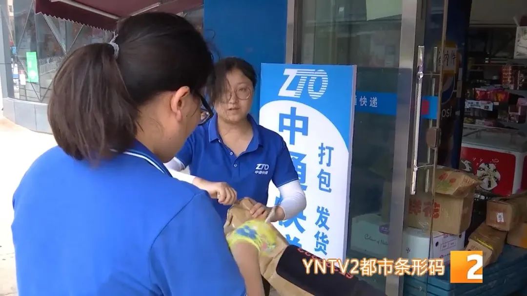 春城晚报