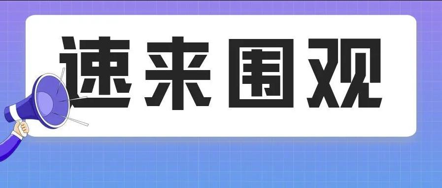 微观盘龙
