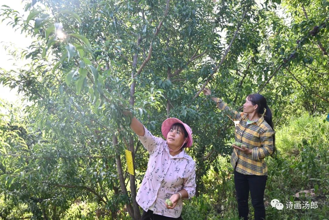 魅力禄劝