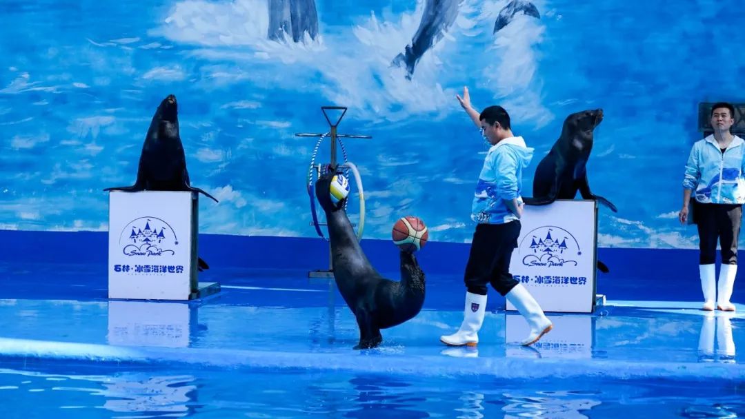 昆明文旅