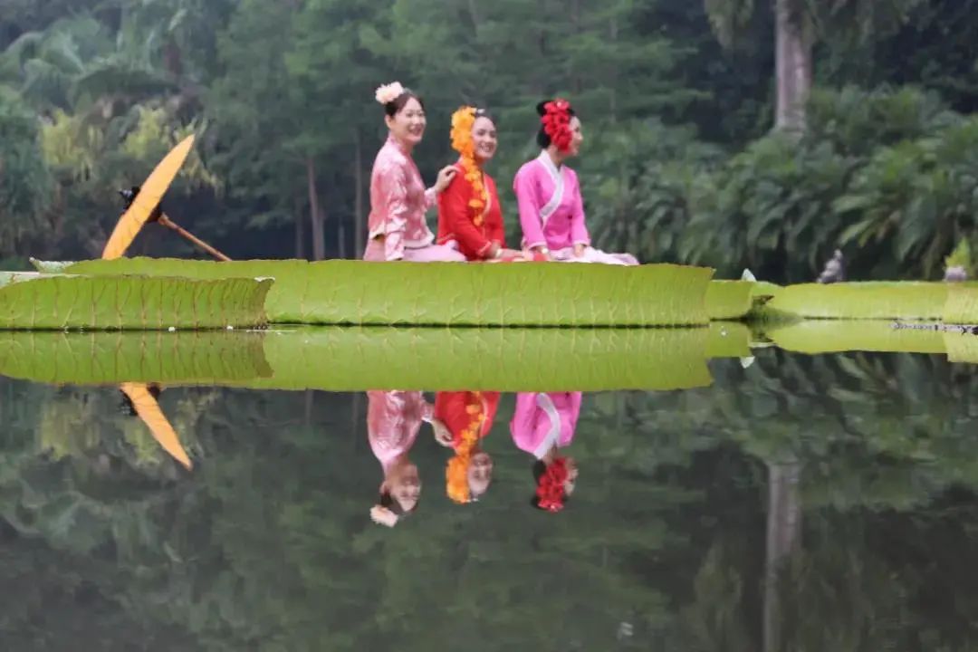云南省文化和旅游厅