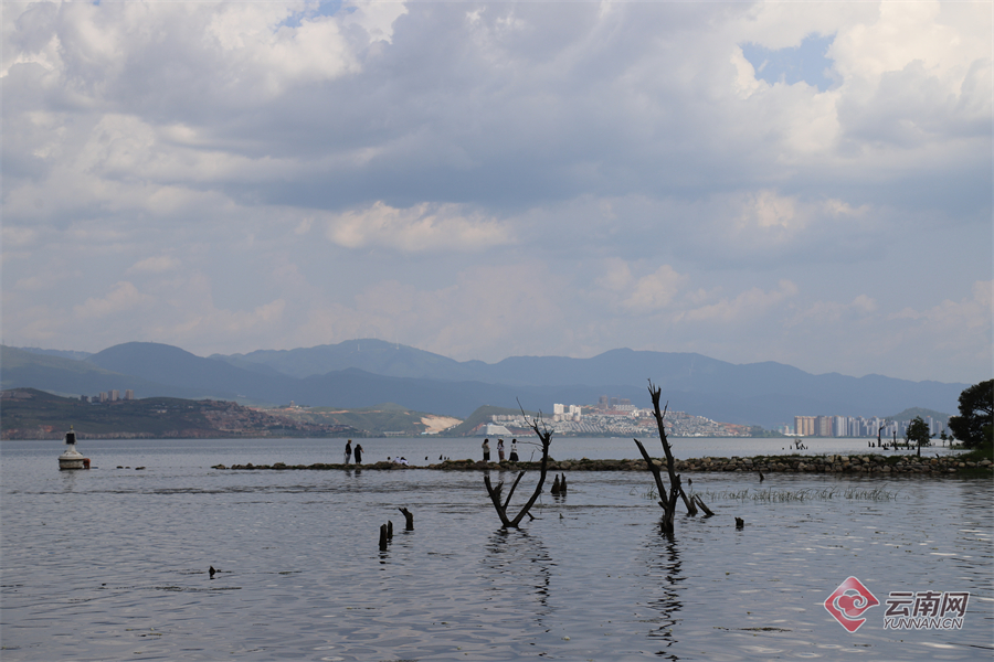 云南省文化和旅游厅