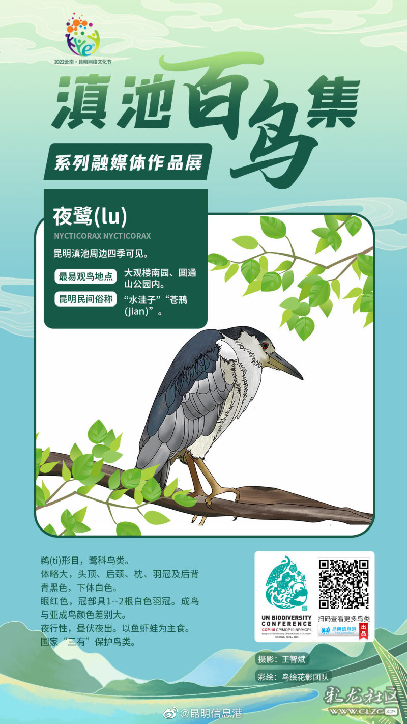 昆明信息港