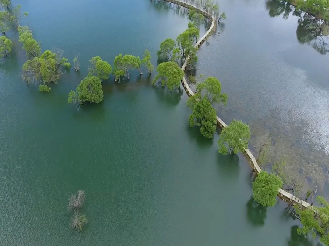 云南省文化和旅游厅