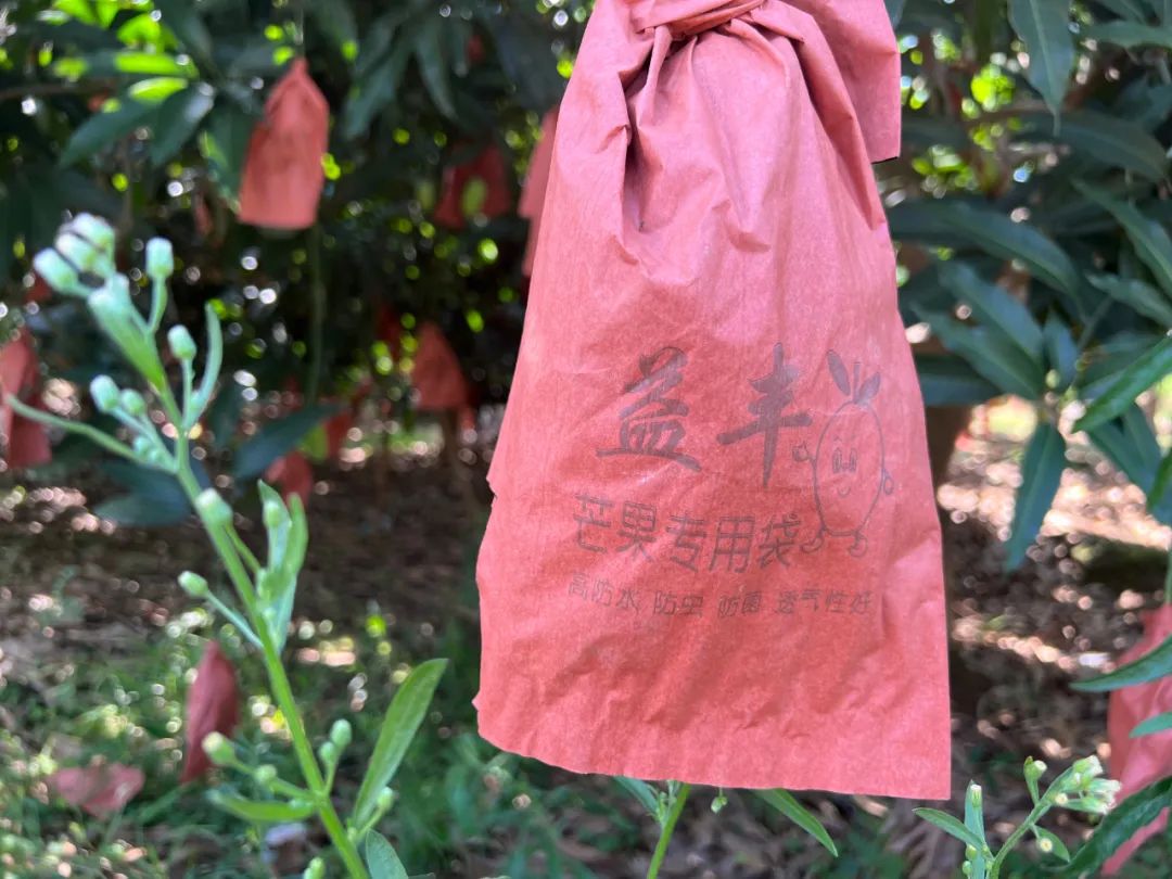 保山新闻网