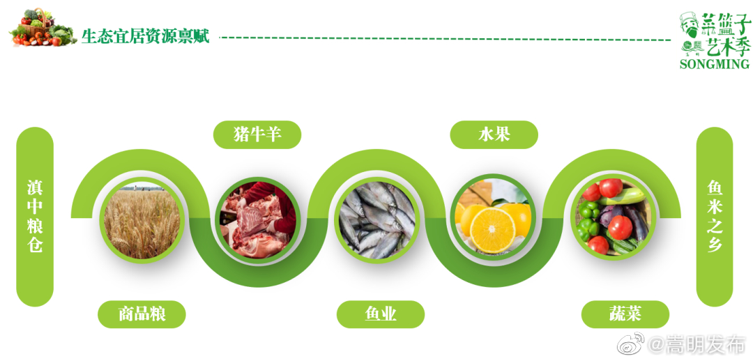 嵩明发布