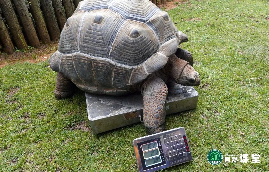 云南野生动物园