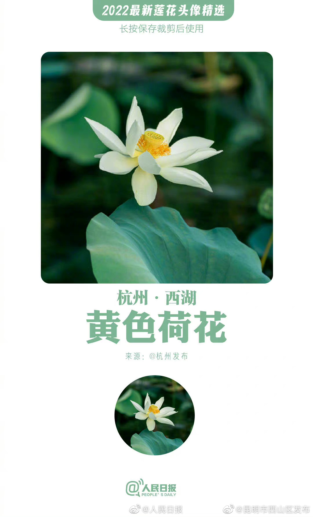 昆明市西山区发布