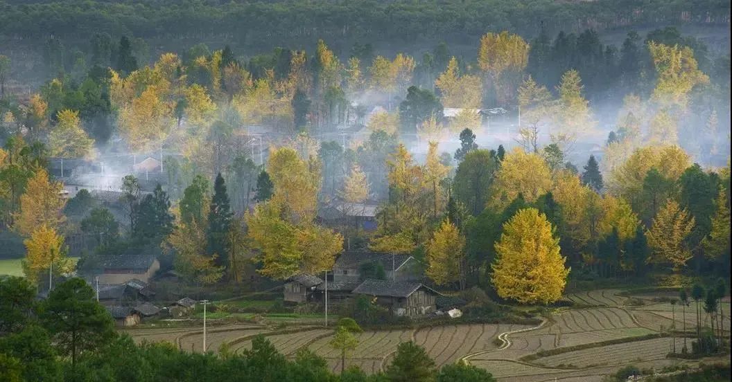 云南省文化和旅游厅