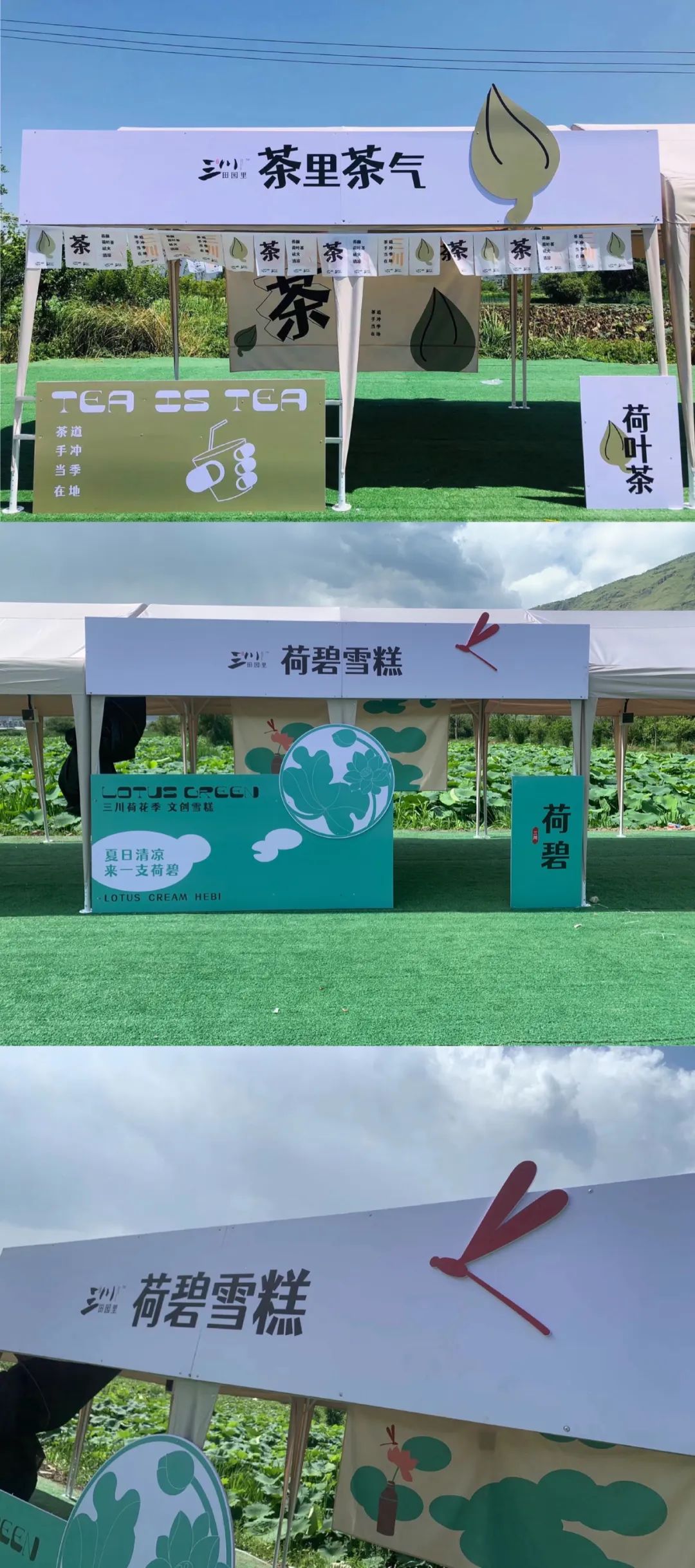 微丽江